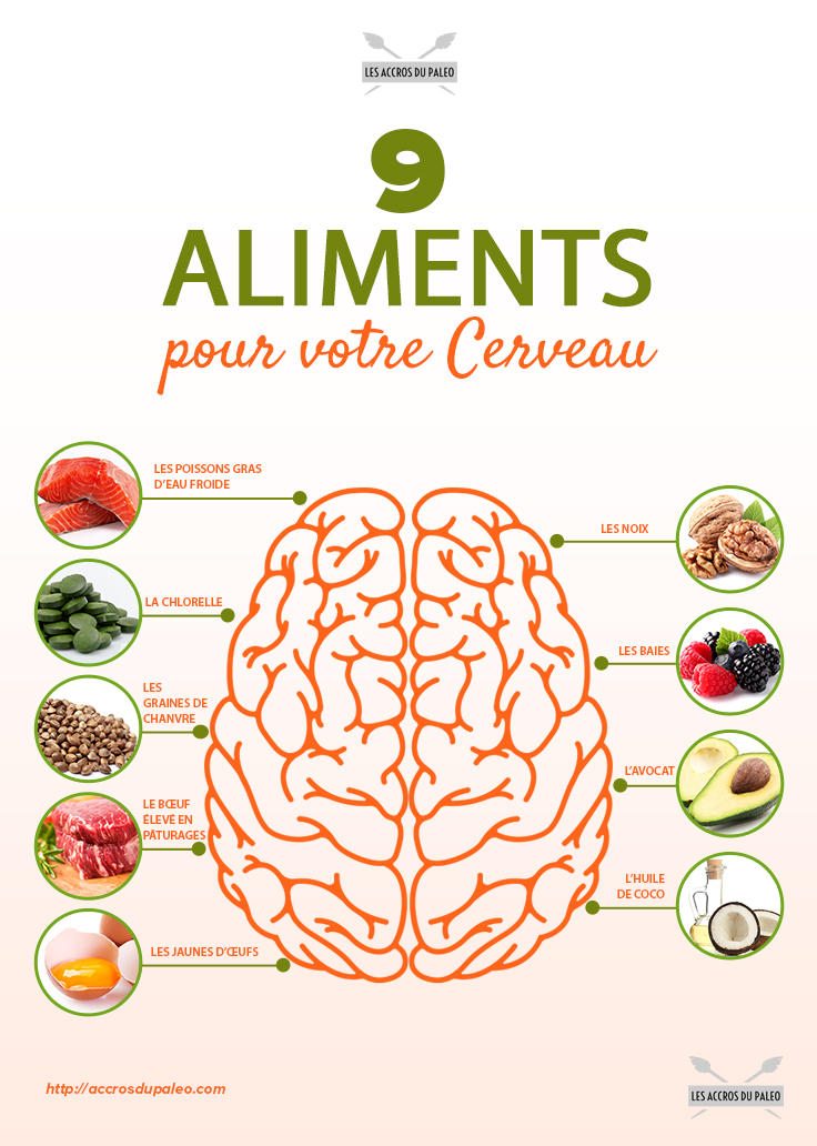 Les meilleurs aliments pour votre mémoire et votre concentration