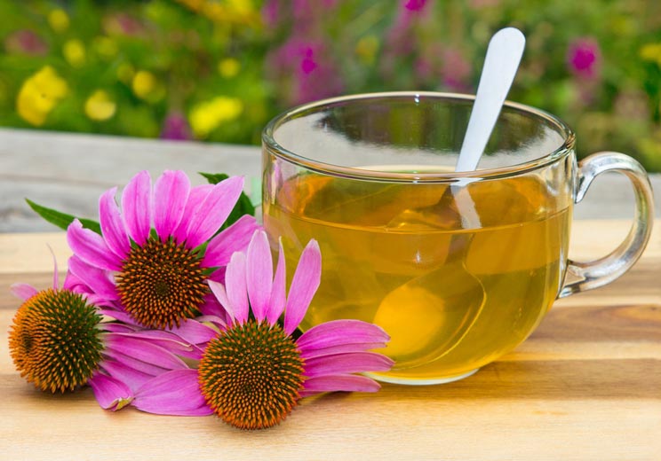 Cup-of-herbal-tea-from-echinacea-used-in-alternative-medicine-a-an-immun-sytem-booster..jpg