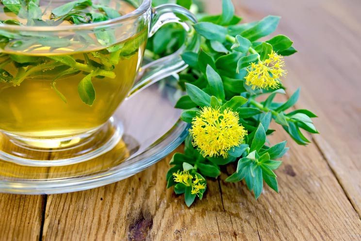 Flowers-Rhodiola-rosea-an-herbal-tea-in-a-glass-cup.jpg