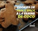 Cookies de pain d’épice à la farine de coco