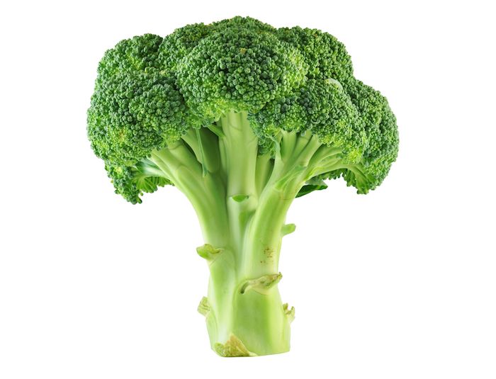 broccoli.jpg