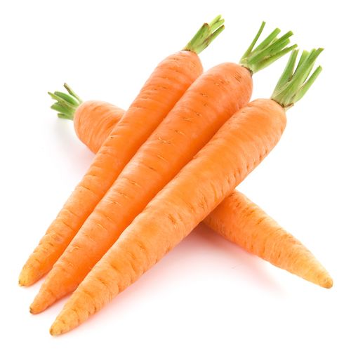 carrots.jpg