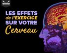 Les effets de l’exercice sur votre cerveau