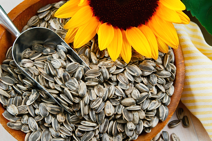 sunflower-seeds.png