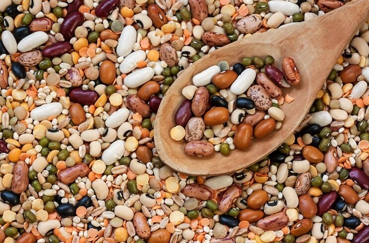 beans-and-legumes-1.jpg