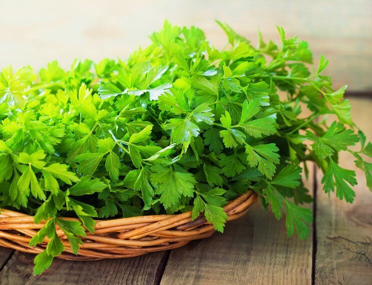 parsley.jpg