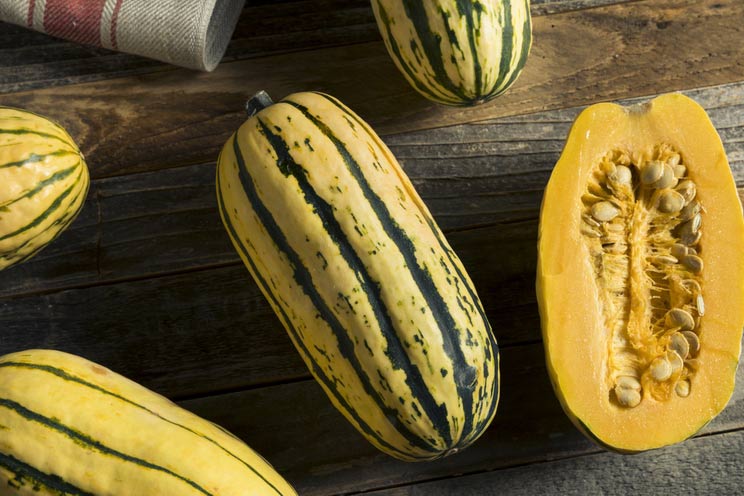 Delicata-squash.jpg