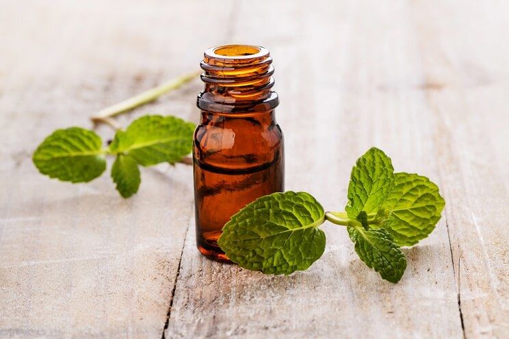 peppermint-oil.jpg
