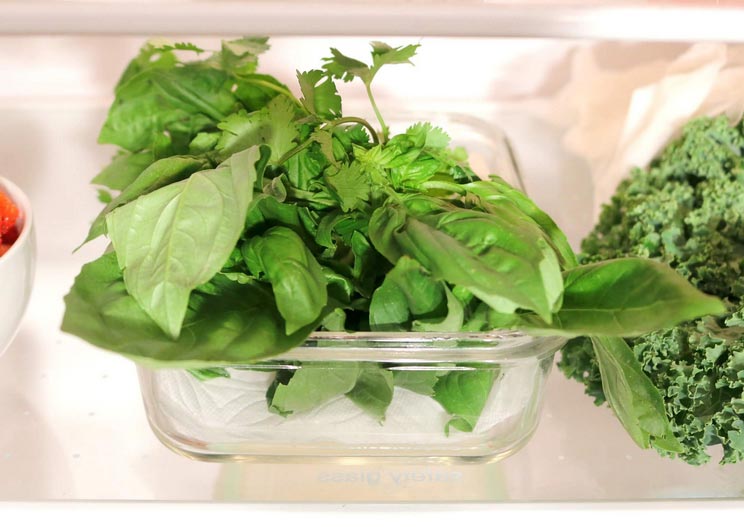 Refrigerator-Storage-Fresh-Herbs.jpg