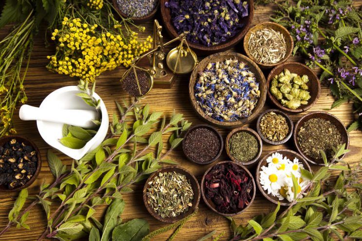 Natural-medicinal-herbs-e1461303397923.jpg