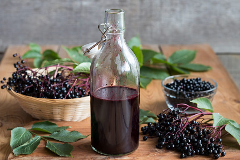 A-bottle-of-elderberry-syrup-with-fresh-elderberries-768x512-1.jpg