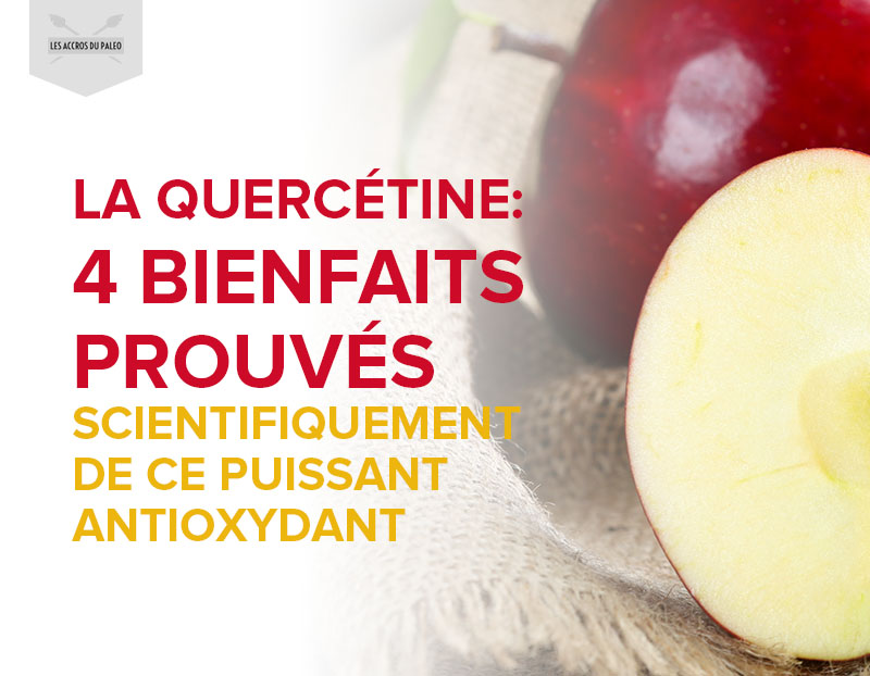 La quercétine 4 bienfaits scientifiquement prouvés de ce puissant antioxydant