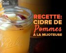 Recette : cidre de pommes à la mijoteuse