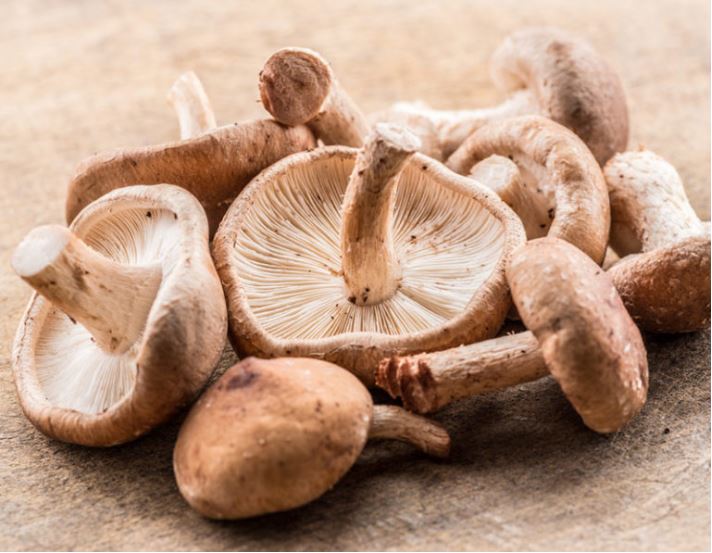 shitake.jpg