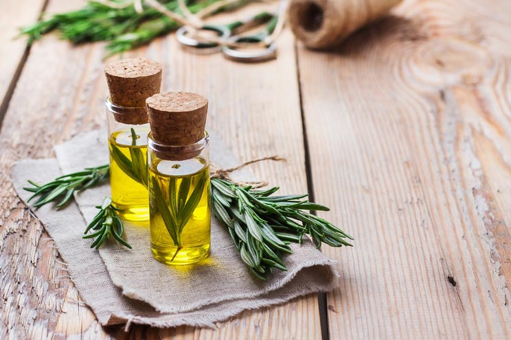 Natural-Rosemary-Essential-Oil-for-Beauty-and-Spa.jpg