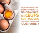 De nouvelles études démontrent à nouveau que les œufs sont mauvais pour votre cholestérol. Que faire ?