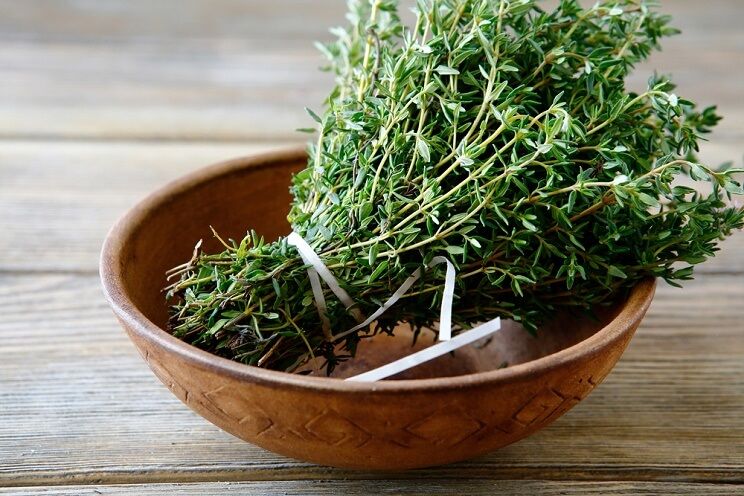 thyme.jpg