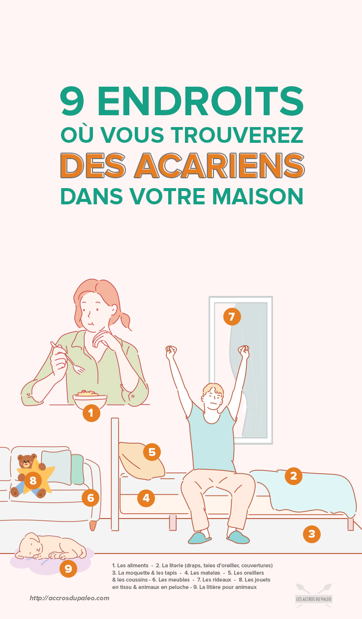 Dust_Mites_-_Allergy_Symptoms__How_to_Get_Rid_of_Them-info-FR.jpg
